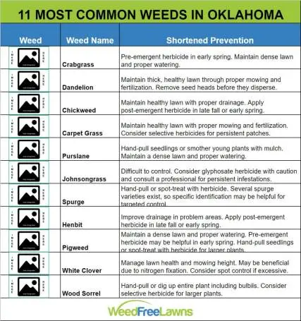 Oklahoma common weeds chart