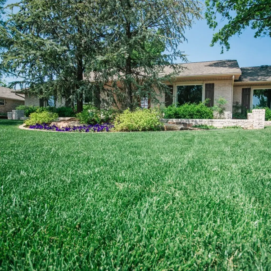 Weed Free Lawns in Oklahoma City